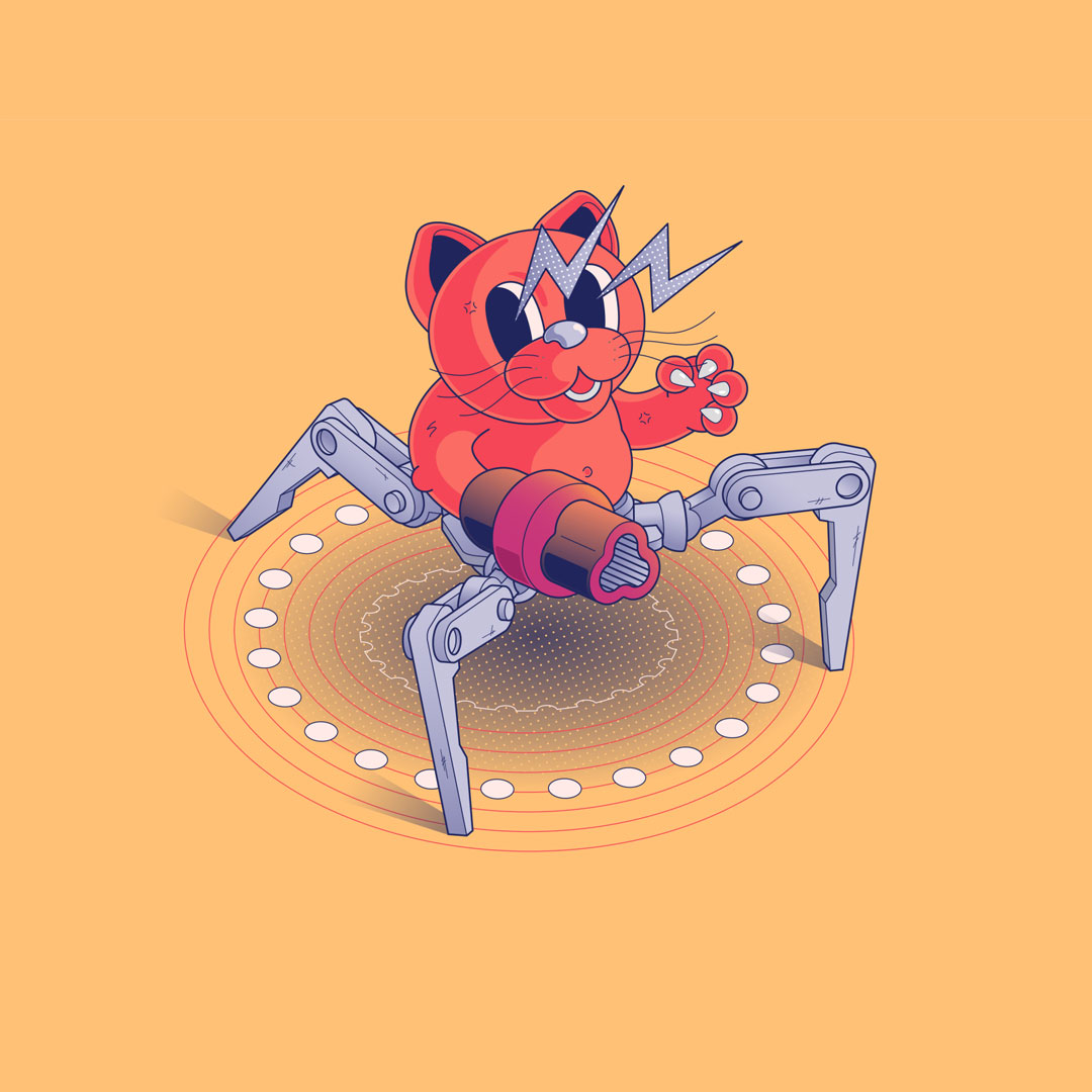 Portfolio Images